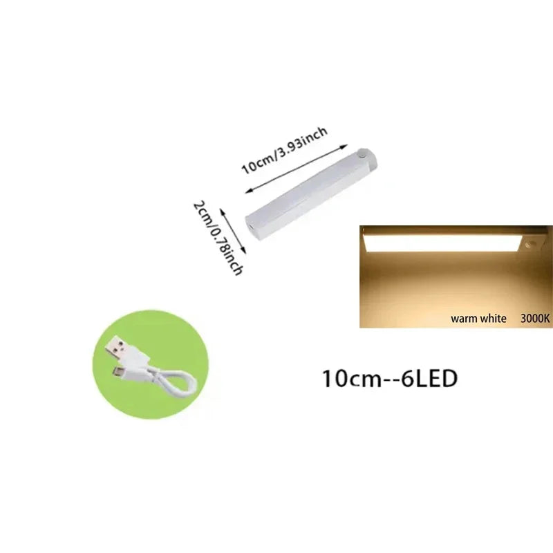 Rechargeable LED Motion Sensor Light