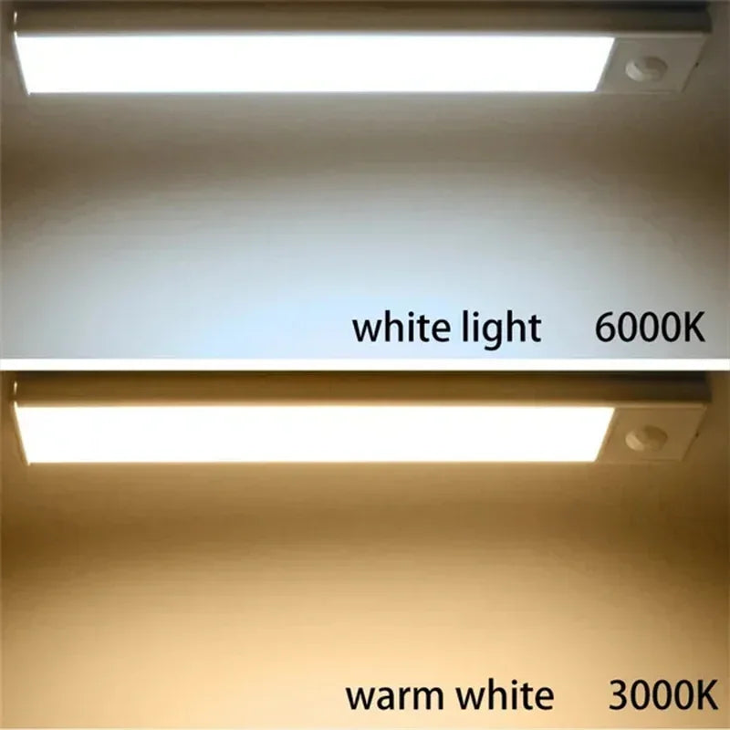 Rechargeable LED Motion Sensor Light