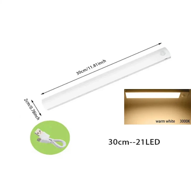 Rechargeable LED Motion Sensor Light