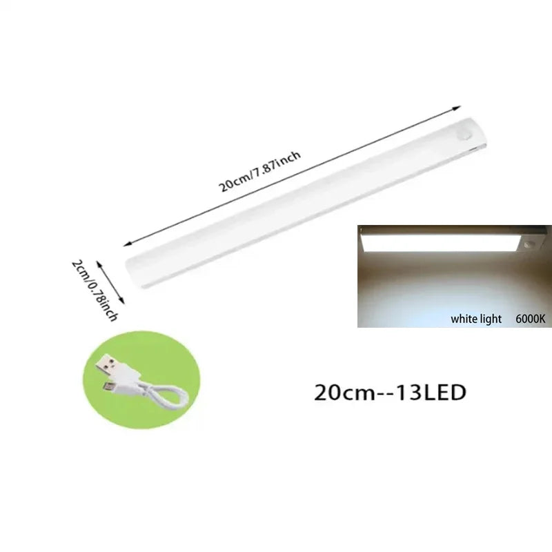 Rechargeable LED Motion Sensor Light