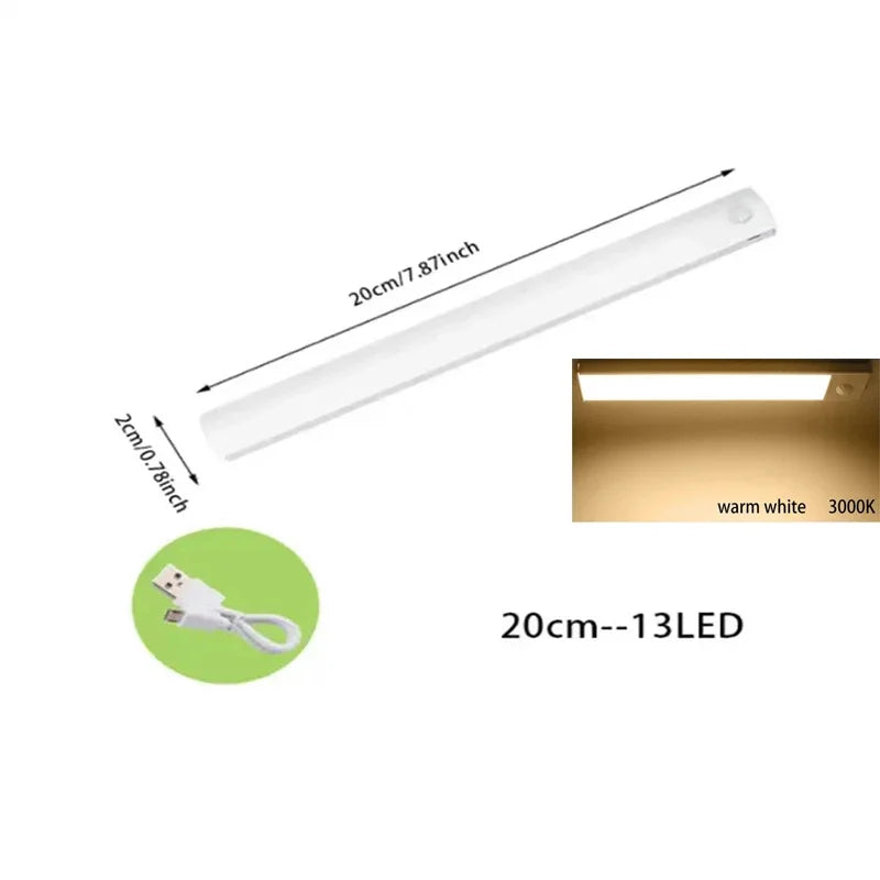 Rechargeable LED Motion Sensor Light