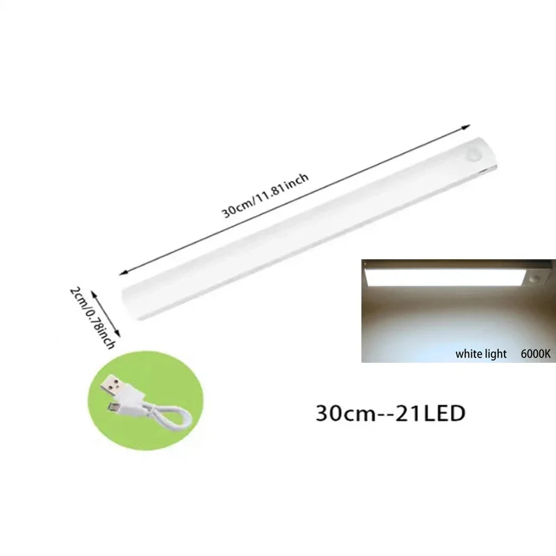 Rechargeable LED Motion Sensor Light